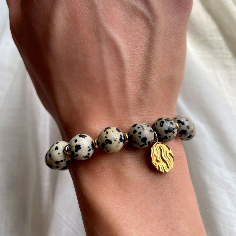 A Dalmatian Jasper beaded bracelet with gold spacer beads and a textured gold charm, worn on a female wrist. The speckled black and beige gemstones create a striking contrast, while the gold accents add a touch of sophistication.